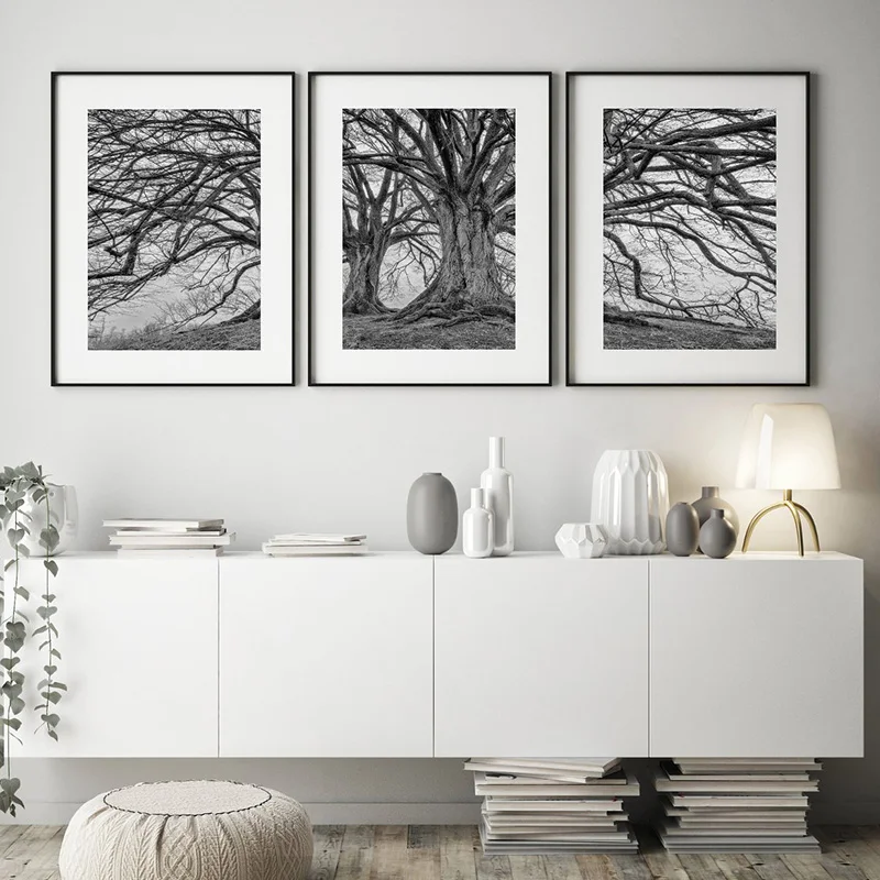 Nature Landscape Wall Art Black White Posters and Prints Autumn Tree