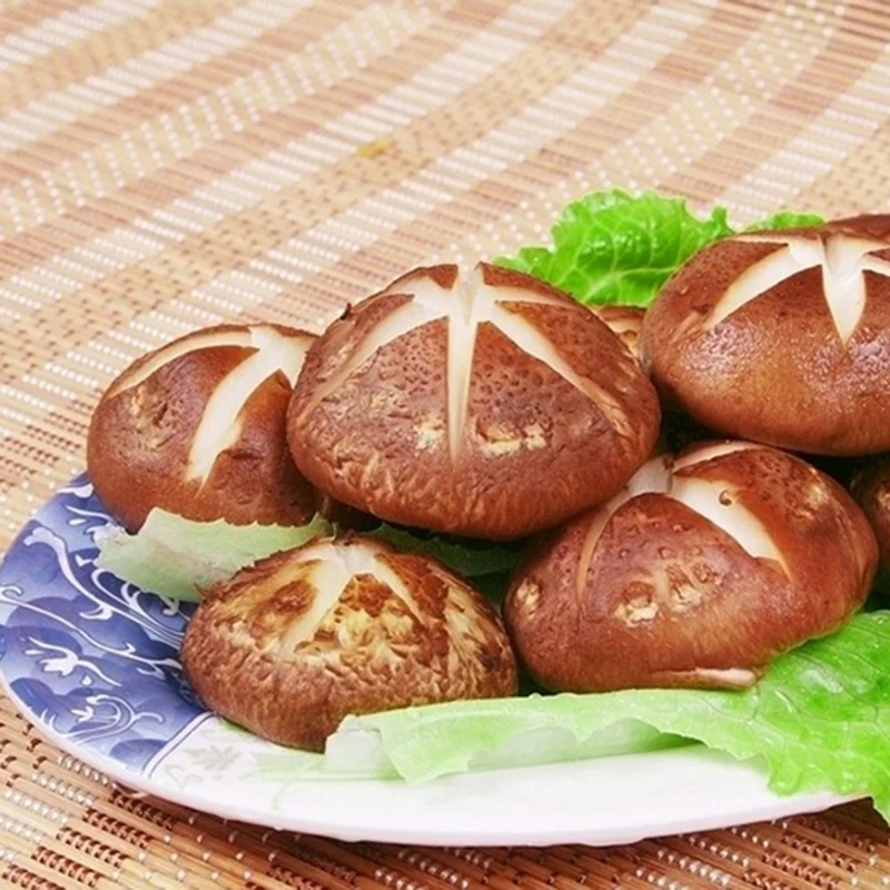 ZLKING 100 шт lentinus edodes многолетнее органический сочное растение бонсай веселый в виде гриба для посадки в саду