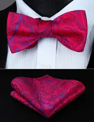 Bp937rs красный ярко-розовый Пейсли бабочкой Для мужчин Шелка Самостоятельная галстук-бабочку платок Набор