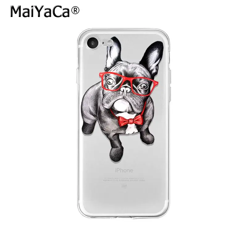 Pet Dog Pug puppy