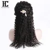 Lace Wigs