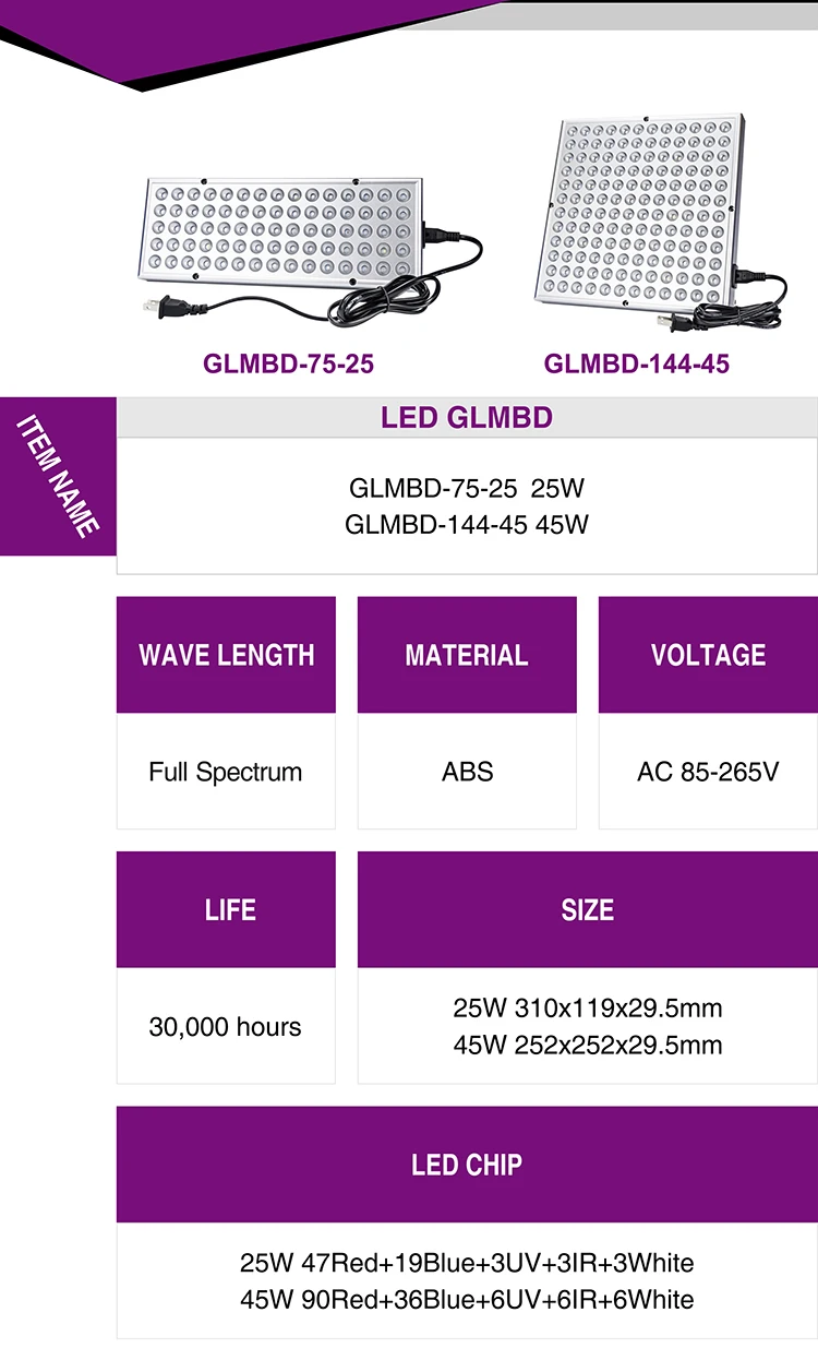GLMBD-+_02