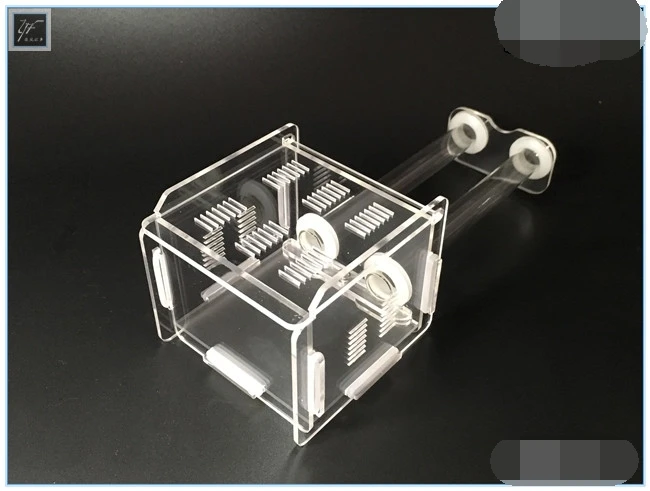2-tubes-ant-nest (2)