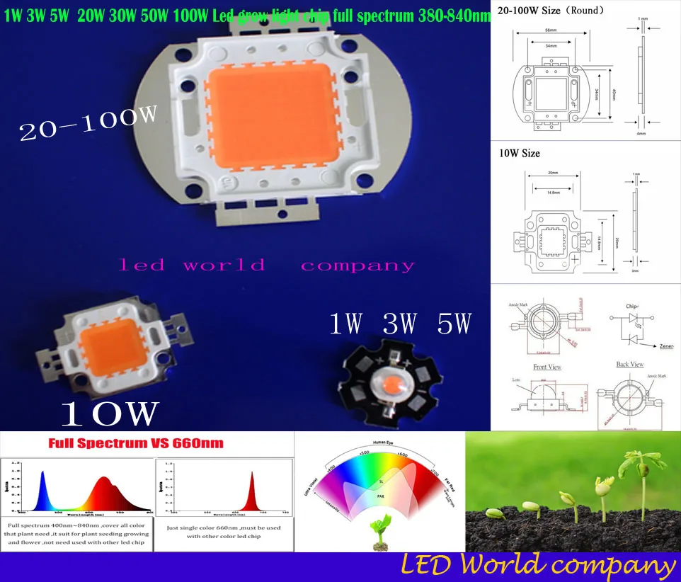 5pcs DC 12V Input 10W LED Driver 10w COB full spectrum led grow chip 380-840nm