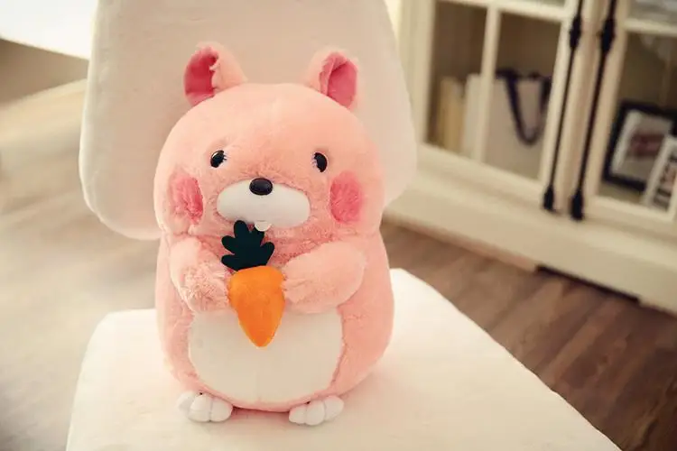 amuse collection hamster