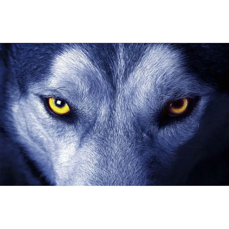 

3D Wallpaper Custom Photo Wallpaper Large Wall Painting Background Wallpaper Animal Wolf Eye 3D Wall Mural Wallpaper