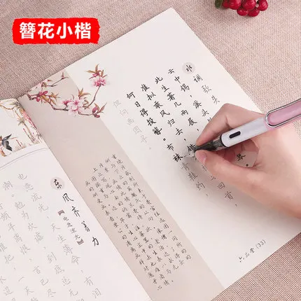 

3D Reusable Groove Xiao Kai Calligraphy copybook Erasable pen learn Chinese characters adults children Chinese writing books