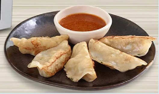 Одноголовый газовый молдель в японском стиле gyoza машина/Пельменная фритюрница Gyoza плита для приготовления пельменей гриль, сковорода для продажи в Китае