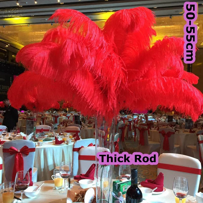 

new 12 PCS beautiful natural Red ostrich feathers wholesale 50 to 55 cm / 20 to 22 inches of feathers