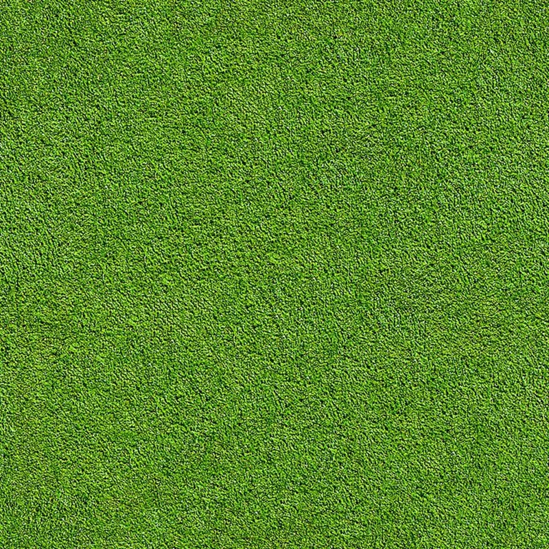 1000 Pcs Japanese Forest Grass lawn, Perennial Evergreen Lawn Bonsai plant Beautiful Garden Ornamental Potted Plant Easy to Grow
