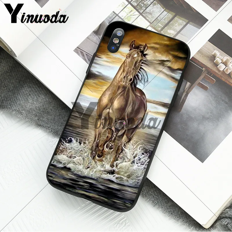 andalusian horse