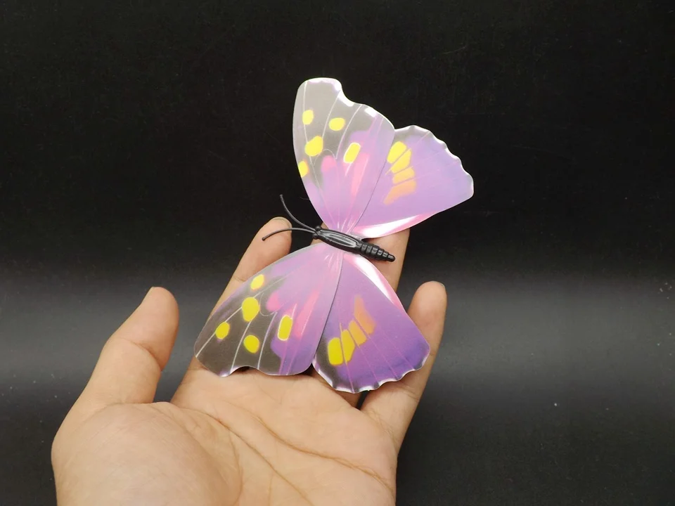 I241-Butterfly (2)