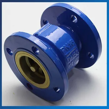 

Good Quality DN40 Cast Iron Flanged One-way Valve