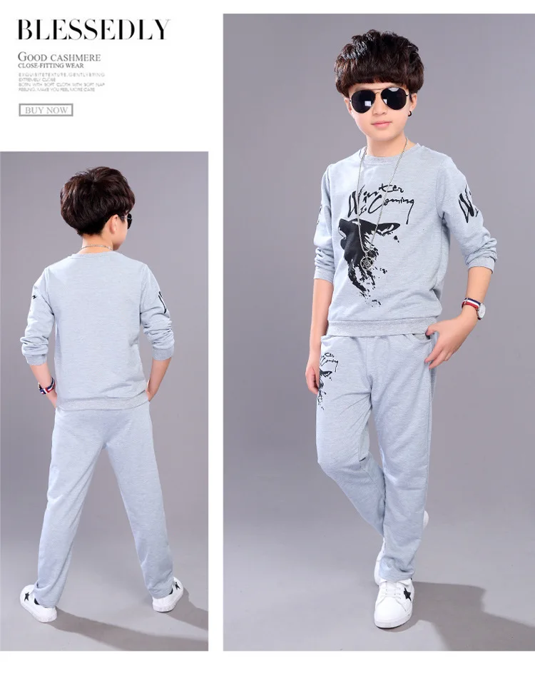 4-14 y children boys clothes kids boy set wolf print long sleeve sport sets for boys spring autumn clothing On Sales (9)