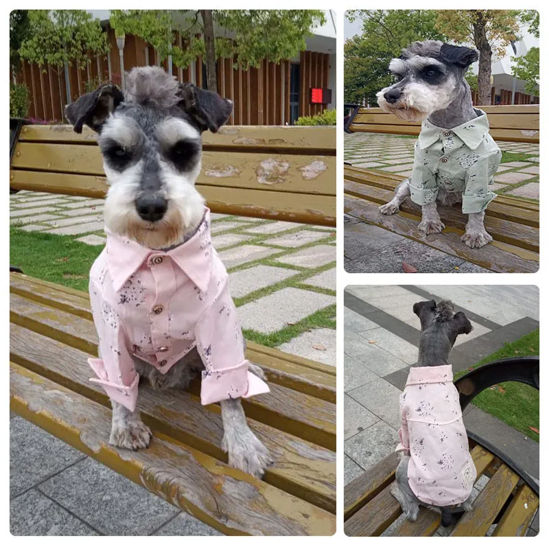 

Spring new han edition shirt printing pet pet supplies manufacturers selling custom-made hot style of dog clothes
