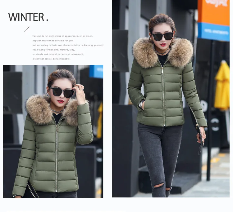 4714359126_103650692