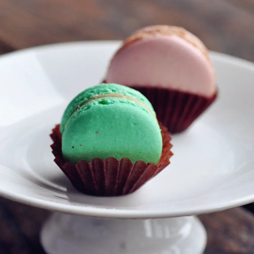 HTB1RUPtPVXXXXajXXXXq6xXFXXXY