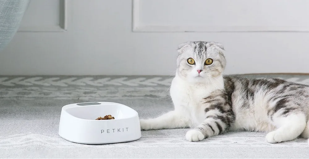 Xiaomi Mijia Petkit умная миска для взвешивания 450 мл умный инструмент для кормления домашних животных для собак кошек домашнего использования домашних животных