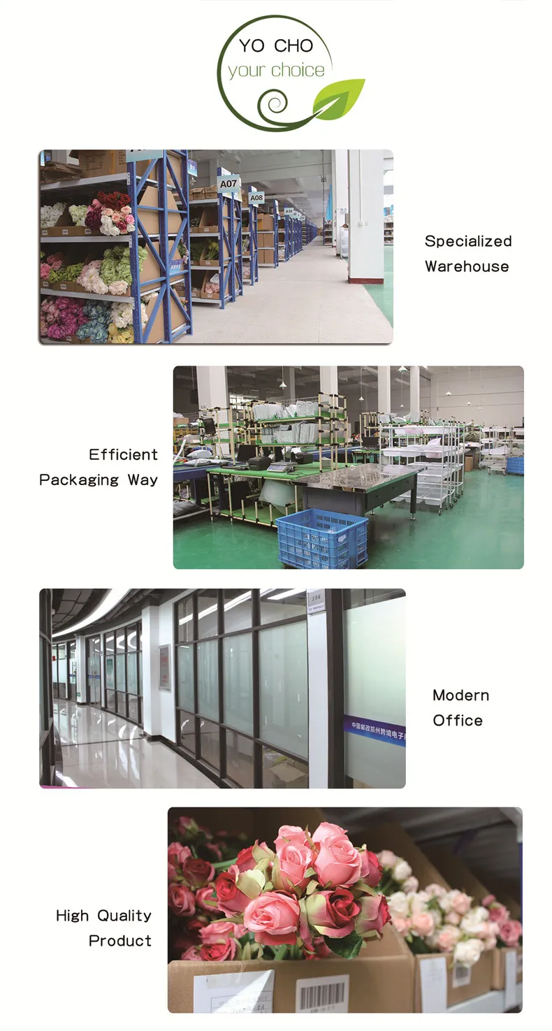 2345_image_file_copy_3