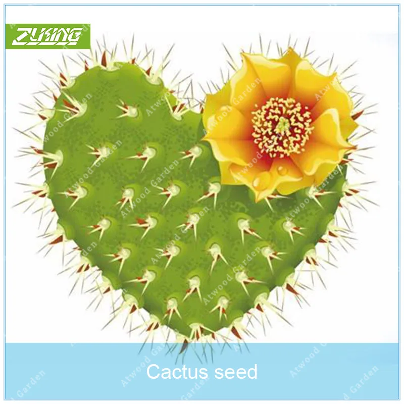 

ZLKING 100pcs Exotic Cactus Bonsai Purifying Air Perennial Lucky Perennial Plant Weird Indoor Decorations