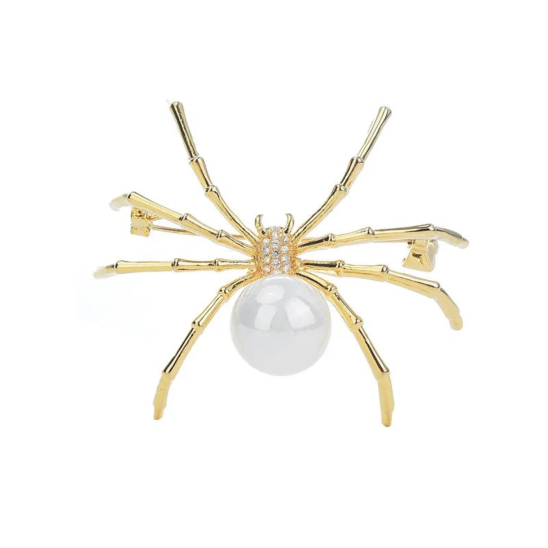spider 4