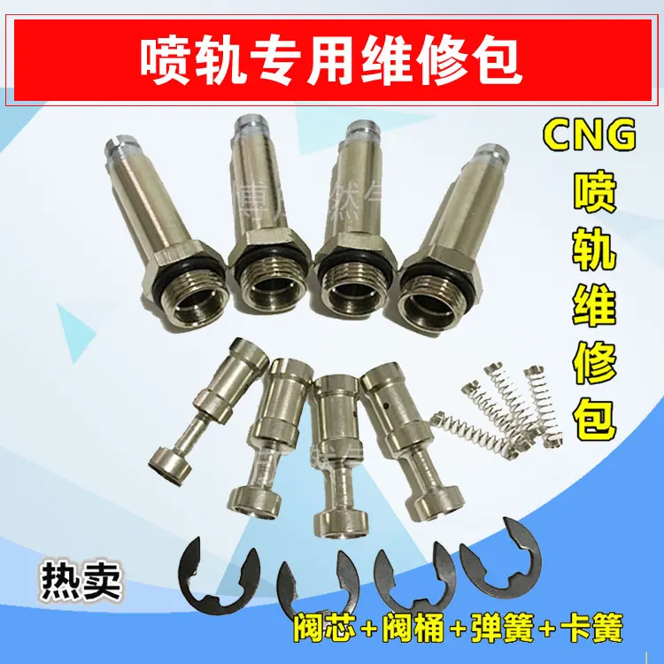 

LPG CNG kits for Cng car natural gas Injector rail valve core valve gas Injector rail repair kit