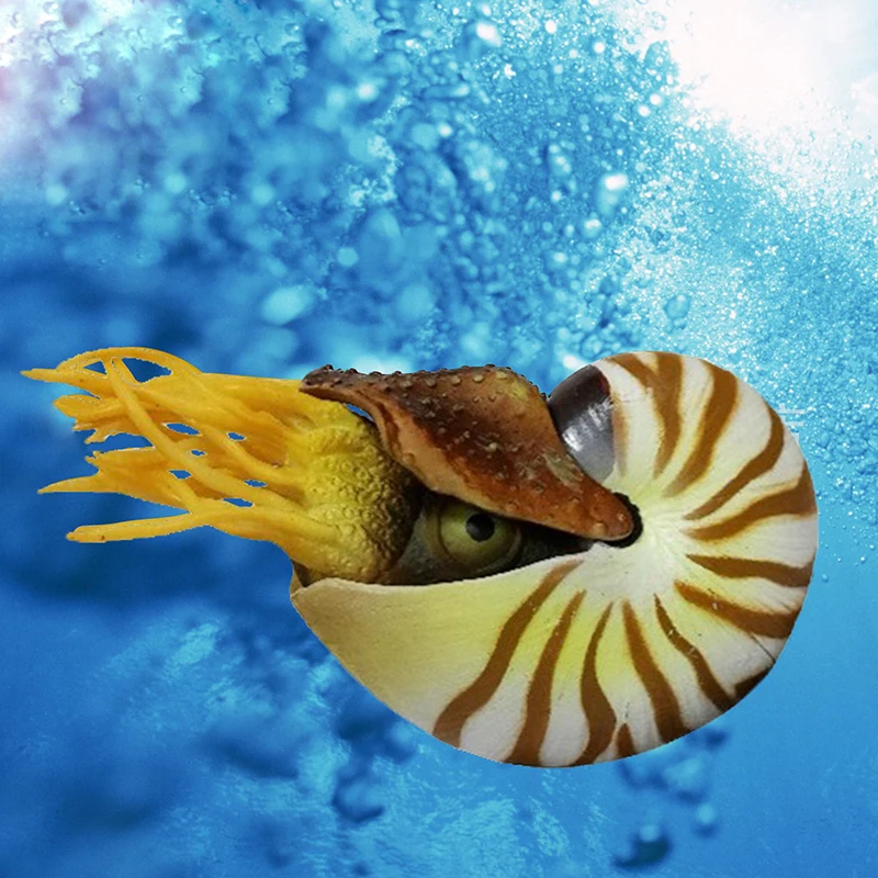 

New Aquarium Accessories Aquarium Decorations Fish Tank Simulation Conch Nautilus Soda Silk Fish Ornaments for Decorative