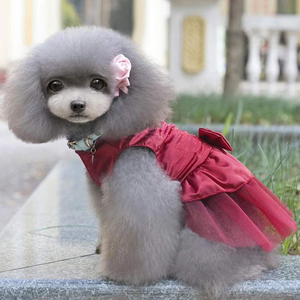 TINGHAO собака женское платье с бантом и юбкой-пачкой юбка домашнее животное щенок Принцесса костюм, наряд, одежда