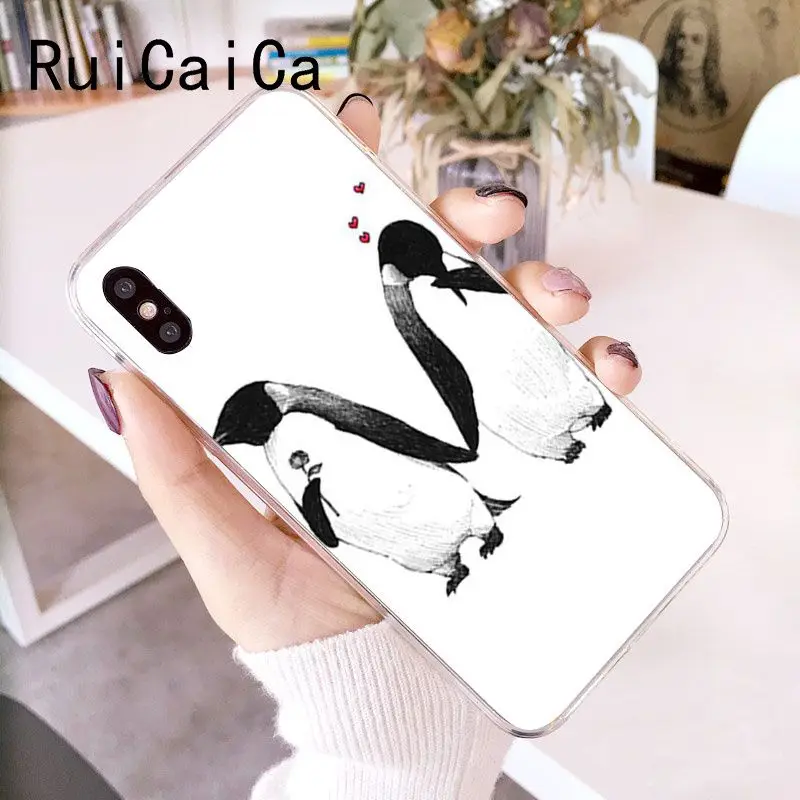 Cute Lovely Penguin