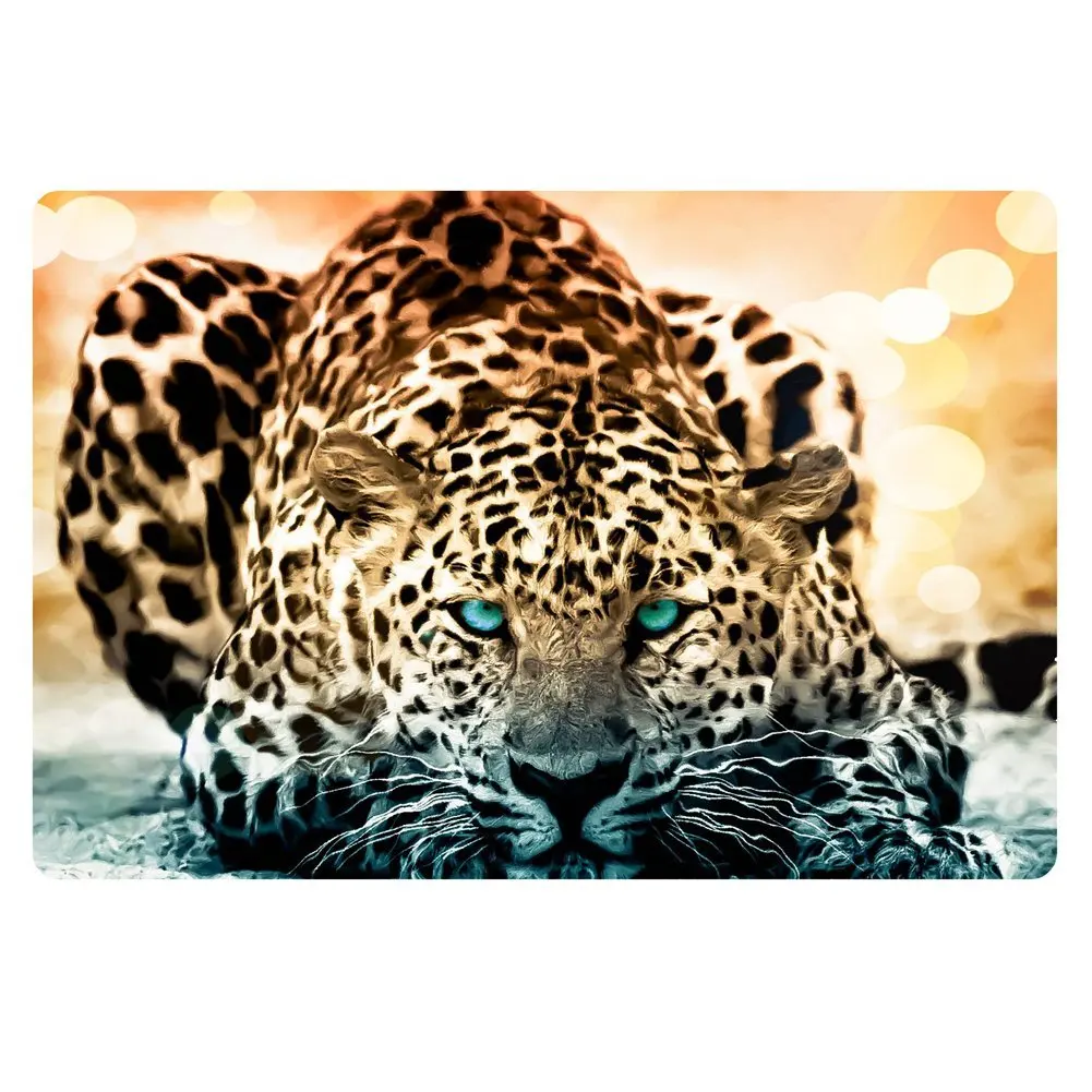 Fashionable Leopard Print Door Mat Entrance Floor Doormat in Mat From
