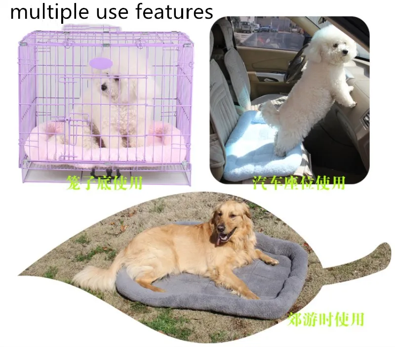 2836236333_806652075_