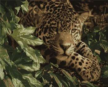 

Modern Style Animal leopard Frameless Picture On Wall DIY Painting By Numbers Coloring By Numbers Gift Canvas Oil Painting