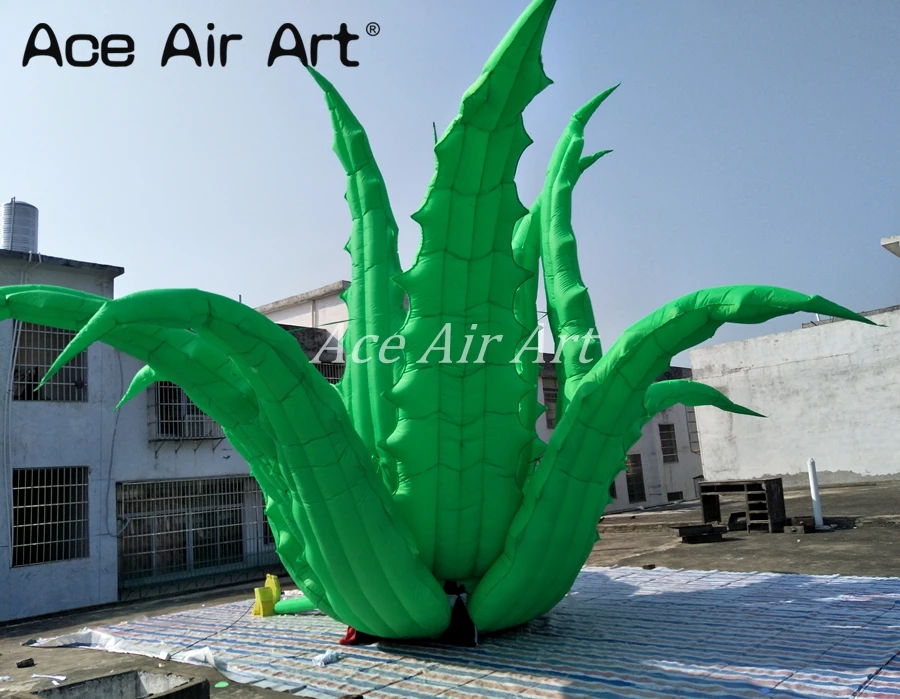 new design awesome 8 m diameters standing giant plants Inflatable grass aloe vera for event,party decoration new design awesome 8 m diameters standing giant plants Inflatable grass aloe vera for event,party decoration