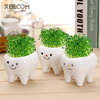 

Cute tooth pot vase creative ceramic cartoon tooth flower pot succulent flower pot home decoration crafts dental clinic gift toy