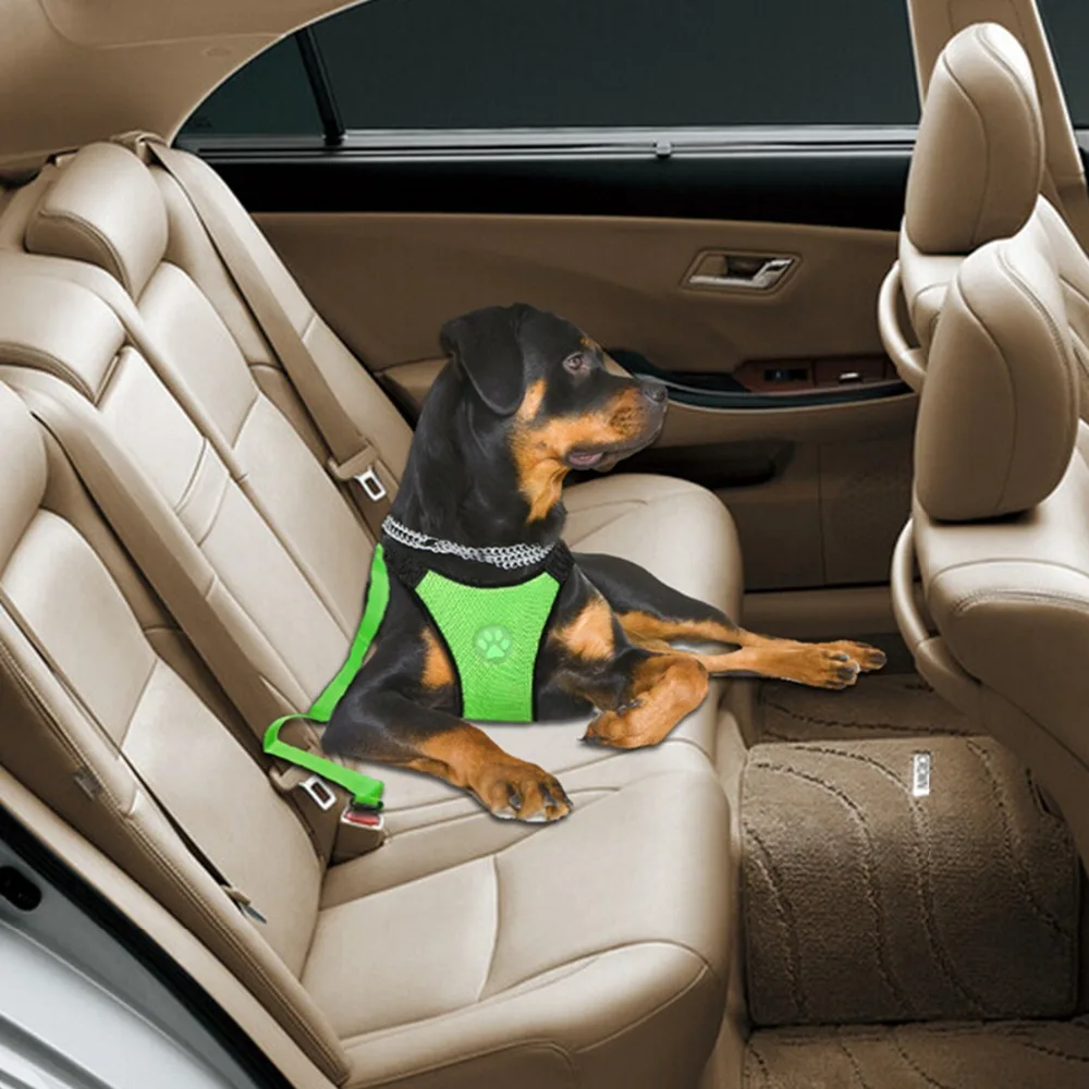 Toyota Sienna 2010-2018 Owners Manual: Fastening the seat belt (for the third center seat) Toyota Sienna 2010-2018 Owners Manual: Fastening the seat belt (for the third center seat)
