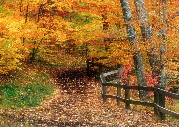 Autumn Falls Pics
