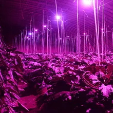 Wholesale 1Pcs AC 85-265V 28W E27 50000 Hours Full Spectrum LED Light used for Stimulating Plant Growing