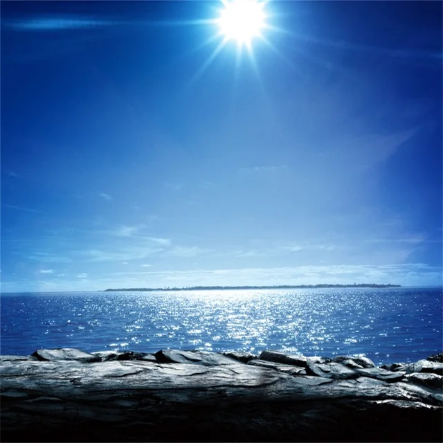 Laeacco Sunny Blue Sky Sea Stone Beach Scene Photography Backgrounds Laeacco Sunny Blue Sky Sea Stone Beach Scene Photography Backgrounds Vinyl Custom Camera Photographic Backdrops For
