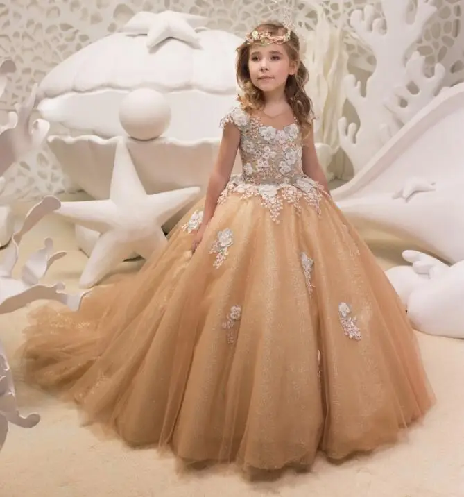 

Romantic Girls Puffy Lace 3D Applique Flower Girl Dress for Weddings Organza Ball Gown Girl Party Communion Dress Pageant Gown