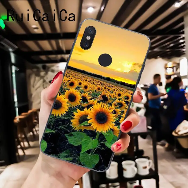 Sunflower Peony Flower