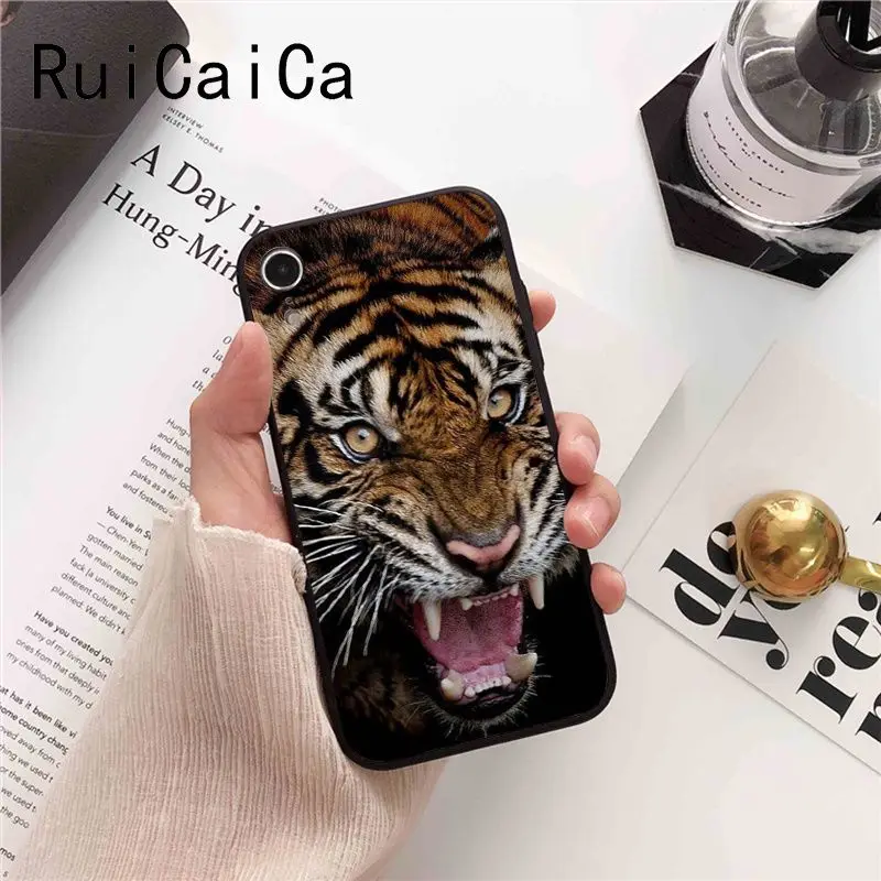 tiger fashion