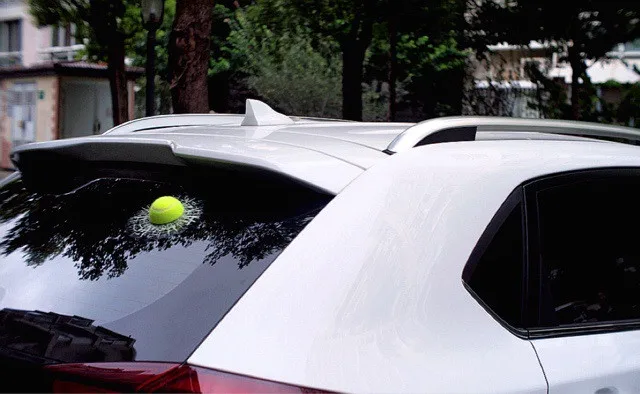 2732838680_1797636203