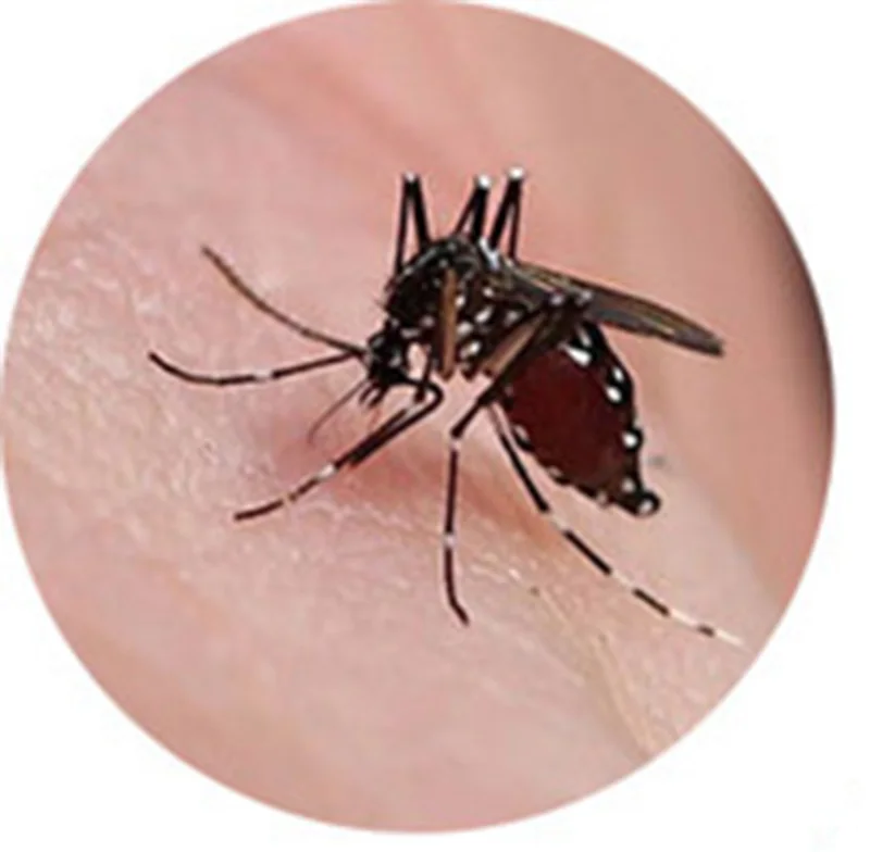 HTB1QSHOpyCYBuNkHFCcq6AHtVXas