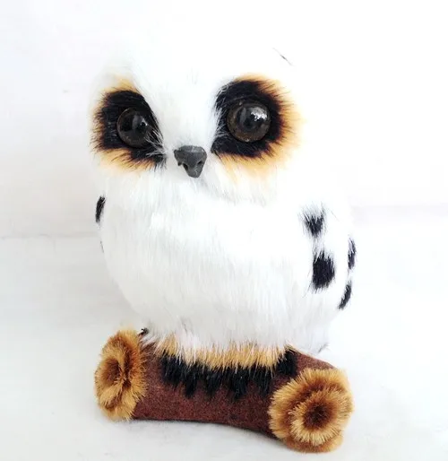 owl 5