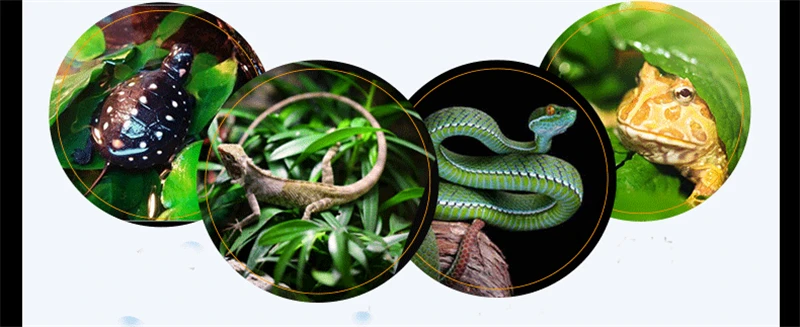 TB2zDH9blRRMKJjSZPhXXcZoVXa_!!864720527_02