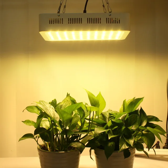300w 60 5w Led Grow Light Solar Imitation Full Spectrum Growing 300w 60 5w Led Grow Light Solar Imitation Full Spectrum Growing Lighting Lamp For Hydroponic