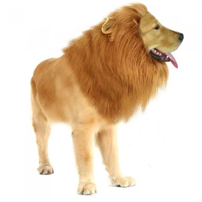 lion mane wig with tail costume adjustable lion hair dog clothes cozy fabric material lion mane wig for your pet is made out of fur and polyester blends perfectly lion