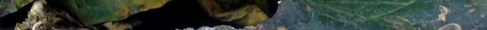 ENG_49