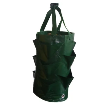 

3 Gallon Strawberry Planter Bag For Growing Potato Outdoor Garden Hanging Vegetable Planting Grow Bag With Side Pockets