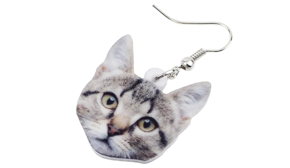 IMG_7061